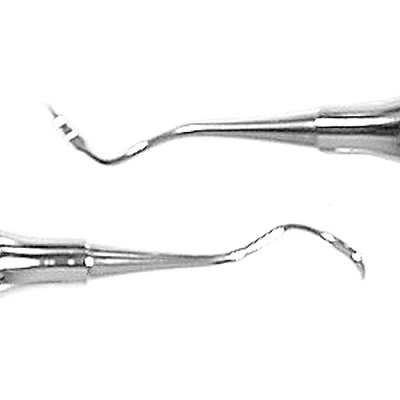 scaler taylor 2-3 Scaler TAYLOR 2/3 Periodent