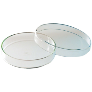 petrijevke Petri posuda staklena sa poklopcem 100mm x 23mm